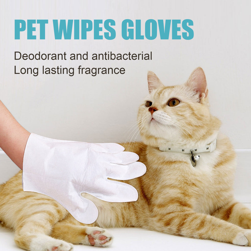 Pet Wash Free Gloves